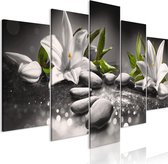 Schilderijen Op Canvas - Schilderij - Lilies and Stones (5 Parts) Wide Grey 200x100 - Artgeist Schilderij