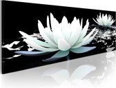 Schilderijen Op Canvas - Schilderij - Alabaster lilies 135x45 - Artgeist Schilderij