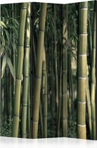 Kamerscherm - Scheidingswand - Vouwscherm - Bamboo Exotic [Room Dividers] 135x172 - Artgeist Vouwscherm