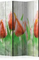 Kamerscherm - Scheidingswand - Vouwscherm - Red tulips on wood [Room Dividers] 135x172 - Artgeist Vouwscherm
