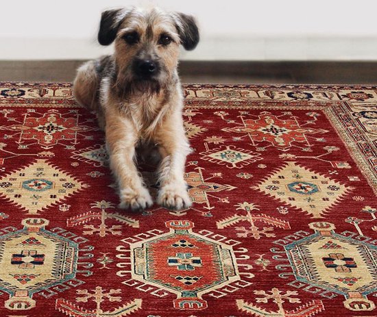 Bol Com Ruggable Noor Ruby 150cm X 210 Cm Wasbaar Vloerkleed