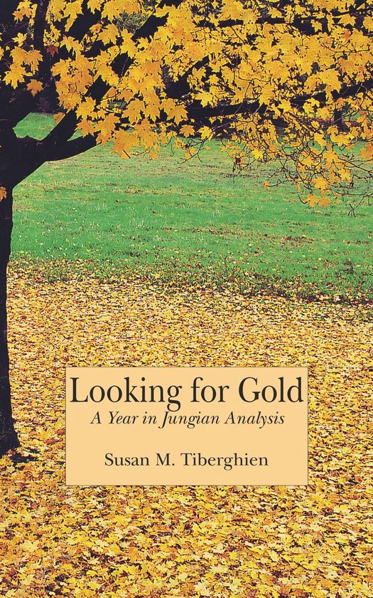 Looking for Gold - A Year in Jungian Analysis - cover
