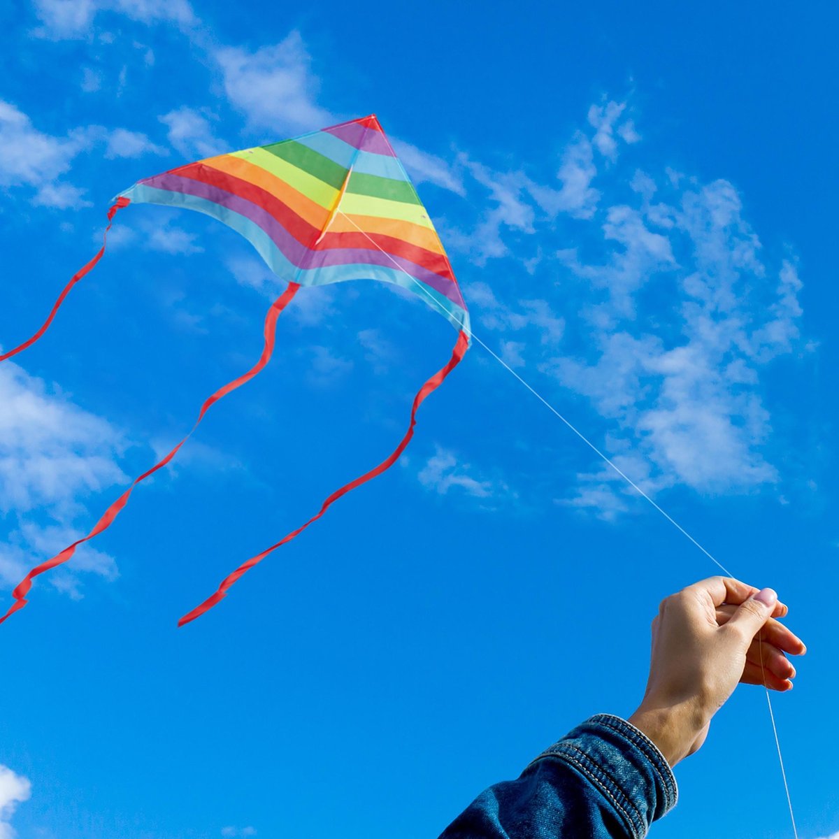 Inademen essence Een evenement relaxdays Vlieger - 1 lijns vlieger - eenlijner - kite - stuntvlieger -  delta vlieger A | bol.com