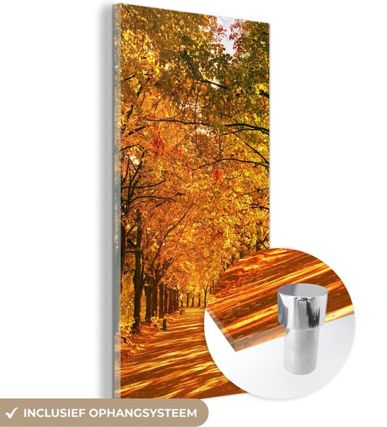 MuchoWow® Peinture sur verre - Forêt - Automne - Saisons - Rural - 40x80 cm - Peintures sur verre acrylique - Photo sur Glas