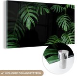 MuchoWow® Peinture sur verre 80x40 cm - Peinture acrylique sur verre - Jungle - Plantes - Monstera - Garçons - Filles - Enfants - Photo sur verre - Peintures