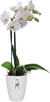 Elho Brussels Orchidee Hoog 12.5 - Bloempot voor Binnen - Ø 12.5 x H 15.5 cm - Wit