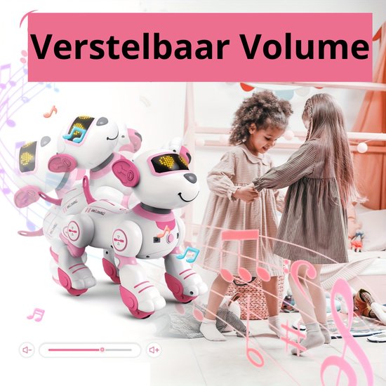 Robot-hond op zonne-energie, wetenschappelijke robotset
