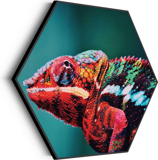 Akoestisch Schilderij Kameleon Kleurrijk Hexagon Basic XL (140 X 121 CM) - Akoestisch paneel - Akoestische Panelen - Akoestische wanddecoratie - Akoestisch wandpaneel