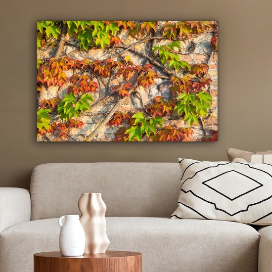 Feuilles d'Hedera rouges et vertes sur un mur de pierre Toile 180x120 cm - Tirage photo sur Toile (Décoration murale salon / chambre) XXL / Grand format!
