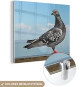 MuchoWow® Glasschilderij 20x20 cm - Schilderij acrylglas - Duif - Blauw - Lucht - Foto op glas - Schilderijen