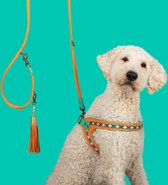 DWAM Dog with a Mission Hondenriem – Riem voor honden – Oranje – Leer – S – 220 x 1 cm – Extra Lange Pippi