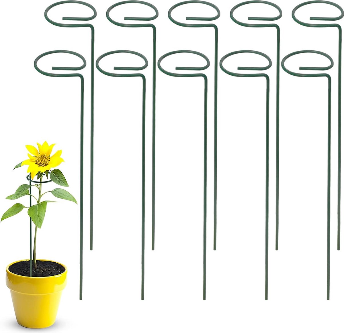 10 stuks plantensteunen kleine plantenhouders struiksteun staal tuin enkele stem steunring orchideeënstaaf kunststof voor planten bloem roos tomaten lelie pioenroos (40 cm)