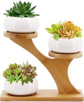 Succulent Pots, Ceramic Flower Pot with Bamboo Tray Holder, Small Cactus Planter Pots for Home Office Desktop Windowsill Decor (Round)