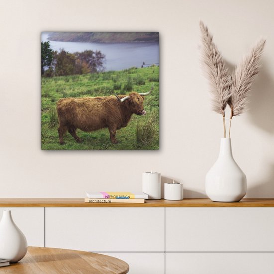 Peinture sur toile Highlander écossais - Herbe - Water - Animaux - 50x50 cm - Décoration murale