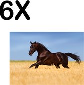 BWK Textiele Placemat - Gallopperend Paard in het Gras - Set van 6 Placemats - 40x30 cm - Polyester Stof - Afneembaar