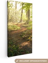 Canvas Schilderij Bos - Bomen - Pad - Zon - Planten - Bladeren - Natuur - 20x40 cm - Wanddecoratie