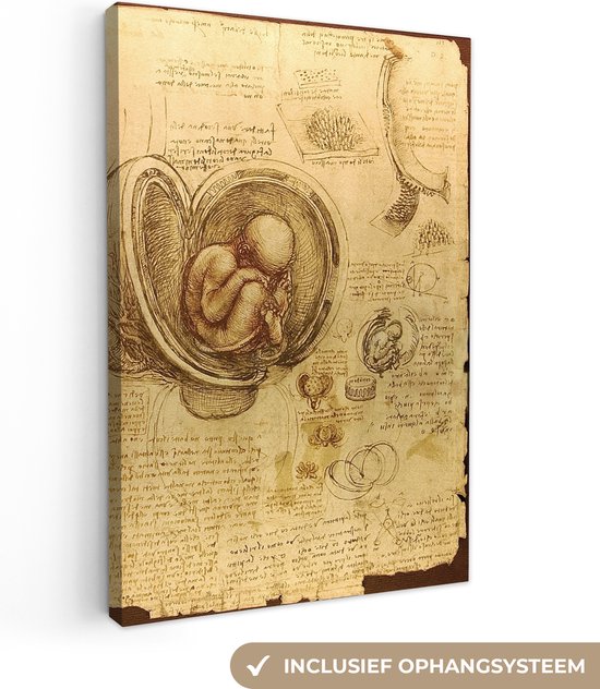 Canvas Schilderij Baby in the womb - Leonardo da Vinci - 60x90 cm - Wanddecoratie
