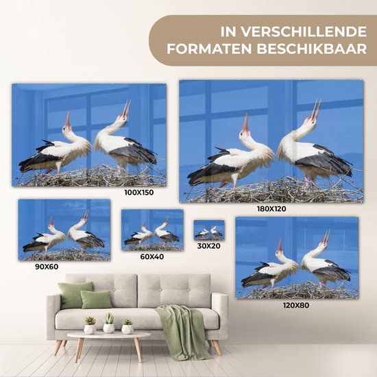 MuchoWow® Peinture sur verre 90x60 cm - Peinture sur verre acrylique - Belle image de deux cigognes dans leur nid - Photo sur verre - Peintures