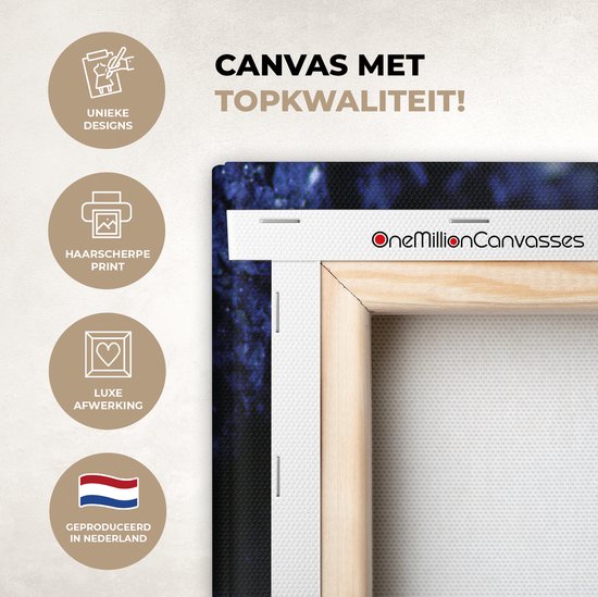 Canvas Schilderij Krab - Water - Dieren - 120x80 cm - Wanddecoratie