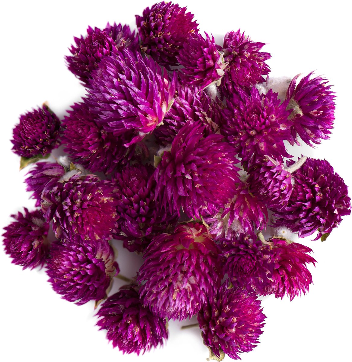 Goedkoopste Amarant Bloemen