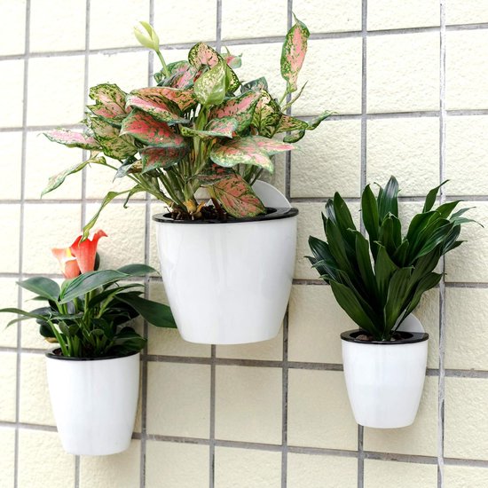 Plante Suspendue, Set de 3 Pot Mural