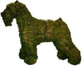 Tuinbeeld -  Hond Schnauzer - Mos