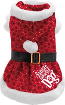 Plenty Gifts Kerst Jurk - Hondenjurk - Santa's Favorite Dog - M