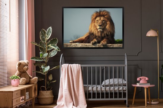 Lion couché 120x80 cm
