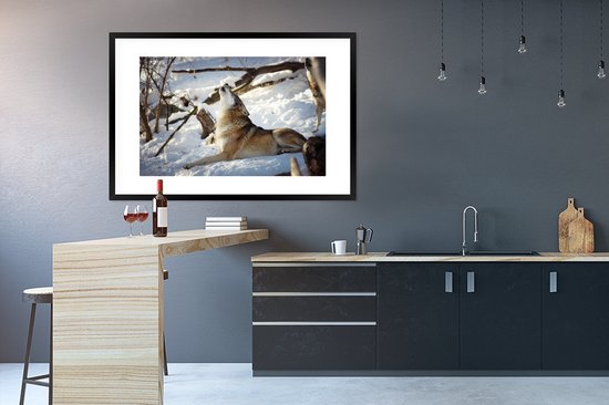 Loup eurasien hurlant 120x80 cm