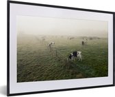 vaches au pâturage dans une prairie brumeuse 60x40 cm