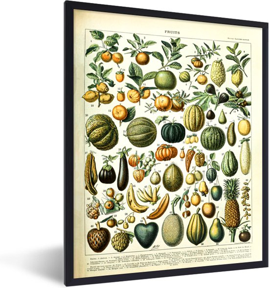 Fotolijst incl. Poster - Fruit - Eten - Design - Vintage - Adolphe Millot - 60x80 cm - Posterlijst