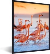 Poster - Cadre photo - Flamingo - Coucher de soleil - Vogel - Tropical - Cadre - 60x80 cm - Cadre affiche - Poster flamant rose - Poster animaux - Photo sous cadre - Décoration chambre