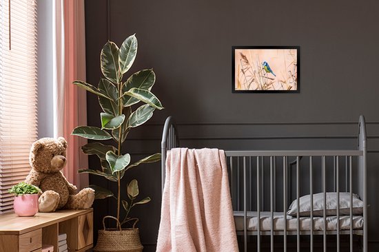 Poster - Cadre photo - Vogel - Pimpelmees Ressorts - Plumes - Roseau - Nature - 30x20 cm - Poster oiseaux - Cadre affiche - Photo sous cadre - Décoration chambre - Poster nature - Posters