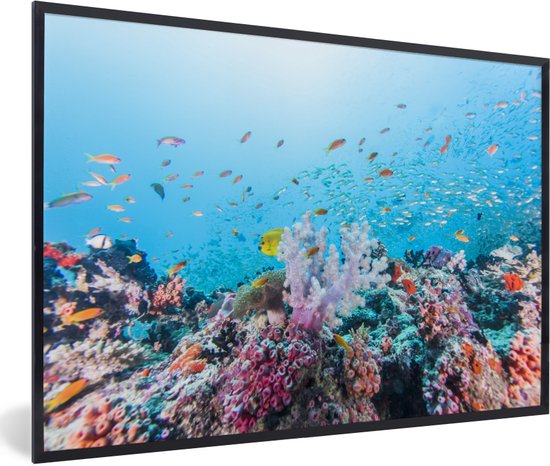 Affiche avec cadre Monde sous-marin - Récif coloré et corail - cadre photo noir - 120x80 cm - Affiche avec cadre