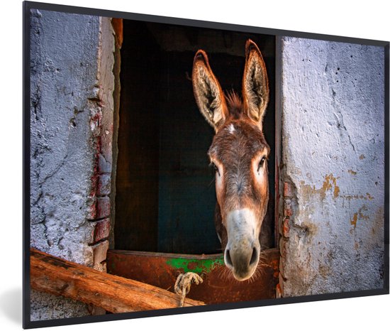 Fotolijst incl. Poster - Ezel in de stal - 60x40 cm - Posterlijst