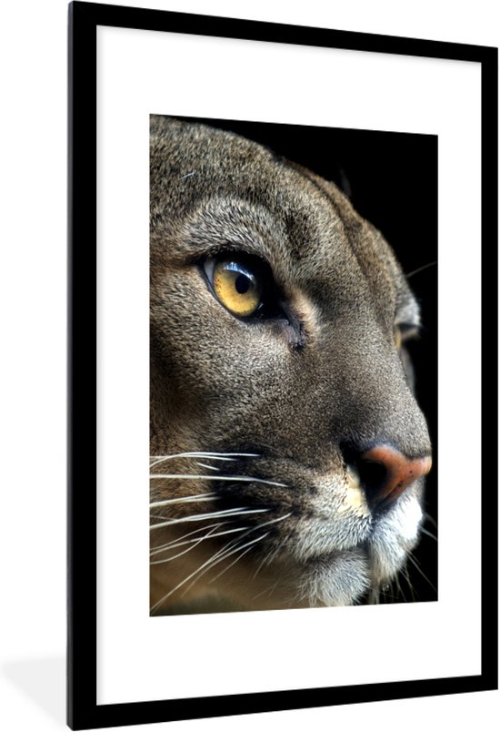 Cadre photo avec affiche - Puma - Animaux sauvages - Portrait - 40x60 cm - Cadre pour affiche