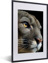 Cadre photo avec affiche - Puma - Animaux sauvages - Portrait - 40x60 cm - Cadre pour affiche