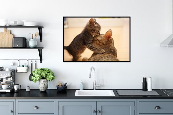 Cadre photo avec affiche - Chat - Chaton - Zwart - 120x80 cm - Cadre pour affiche