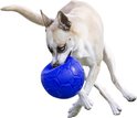 Lichte hond met blauwe ogen speelt met een blauwe Jolly Soccer Ball.