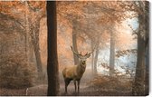 Painting King - Tableau sur toile Cerf dans la forêt d'automne - 30 x 20 cm