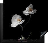Inductie beschermer - Bloemen - Orchidee - Wit - Stilleven - Inductie kookplaat - Inductie fornuis - Inductie beschermingsmat - 57x51 cm - Keuken decoratie - Inductie protector - Keuken accessoires