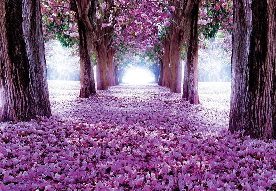 Papier peint photo Peint Intissé - Tunnel de Fleurs Violettes 3D - 254 x 184 cm