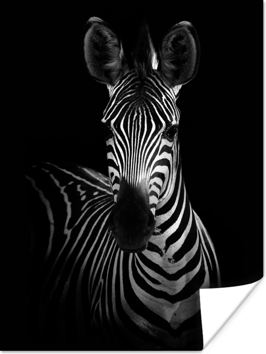 Poster Zebra - Zwart - Wit - Dieren - 60x80 cm