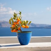 Kunststof bloempot in geglazuurde keramieklook | Kleur: marineblauw | Ontwerp: Santorini | Diameter 39,5 cm x Hoogte 33,5 cm | Verpakking van 1