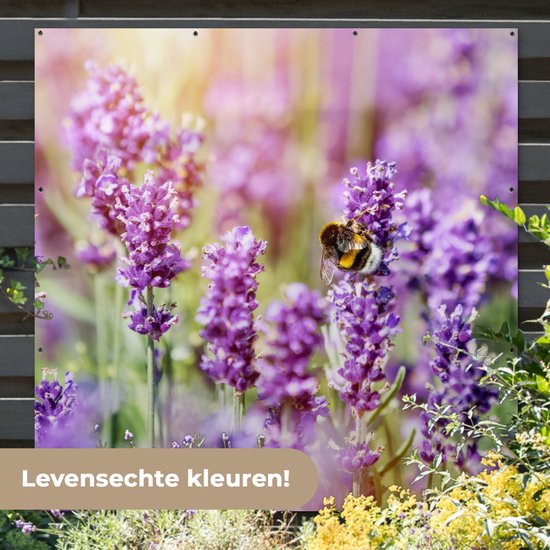 Décoration de jardin lavande - Fleurs - Nature - 200x200 cm - Jardin - Décoration clôture - Affiche jardin - Toile clôture - Affiche extérieur - Décoration jardin - Décoration balcon - Peinture jardin