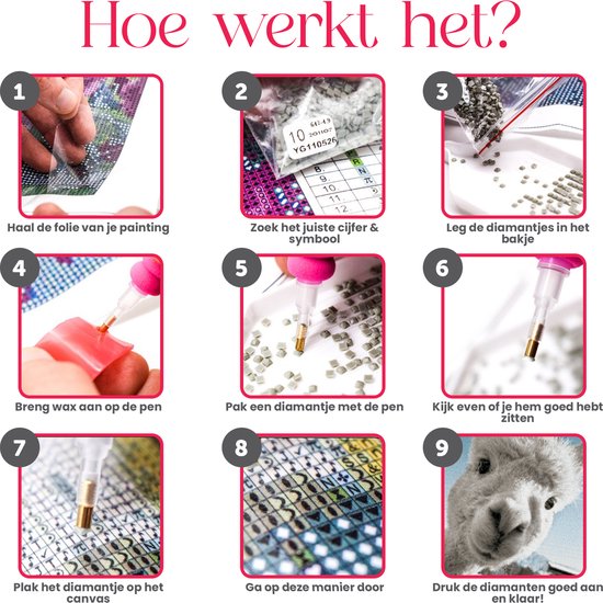 5D Diamond Painting complete set, roos, doe-het-zelf