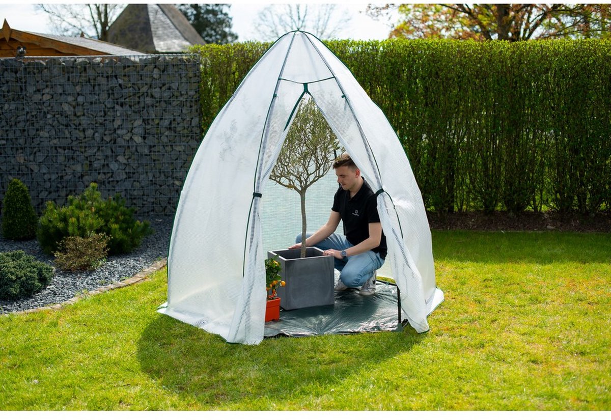 Westmann Munt plant overwintering tent - 200 x 200 cm