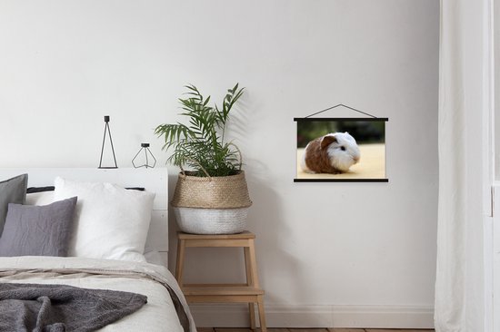 Affiche textielposter jeune cochon d'Inde 60x40 cm