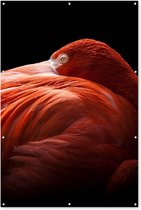 Décoration murale Flamingo - Ressorts - Rose - 120x180 cm - Poster de jardin - Toile de jardin - Poster extérieur