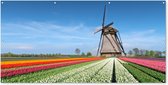 Schuttingposter Molen tussen de tulpen in Nederland - 200x100 cm - Tuindoek